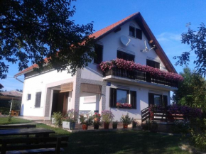 Отель Guest House Adrijana  Селиште Дрежничко